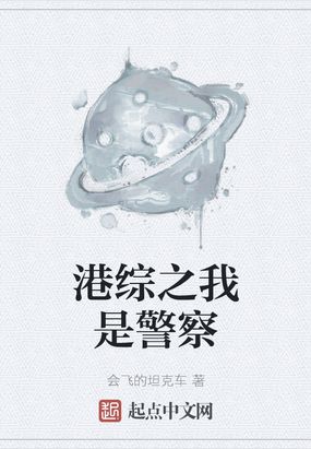 港警之综合系统